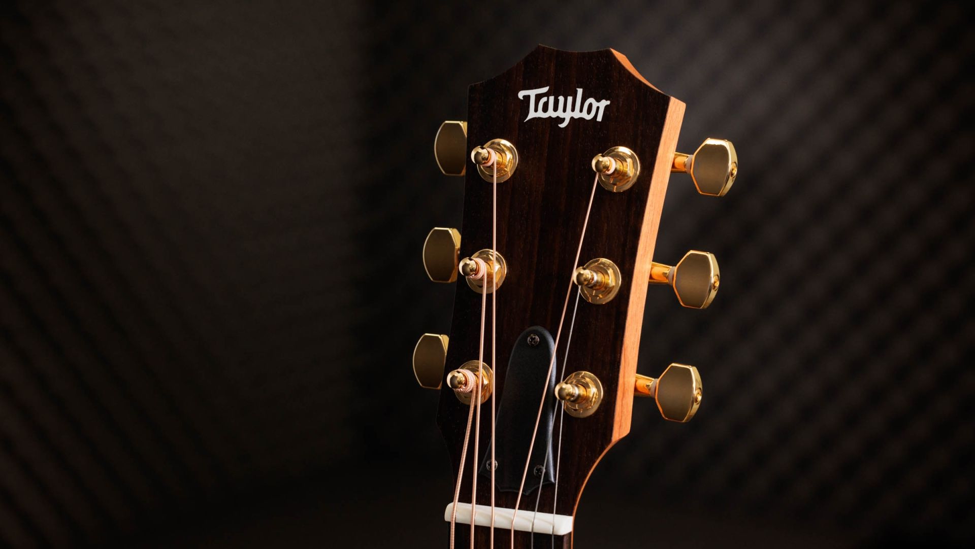 Taylor-GS Mini-e Rosewood SB